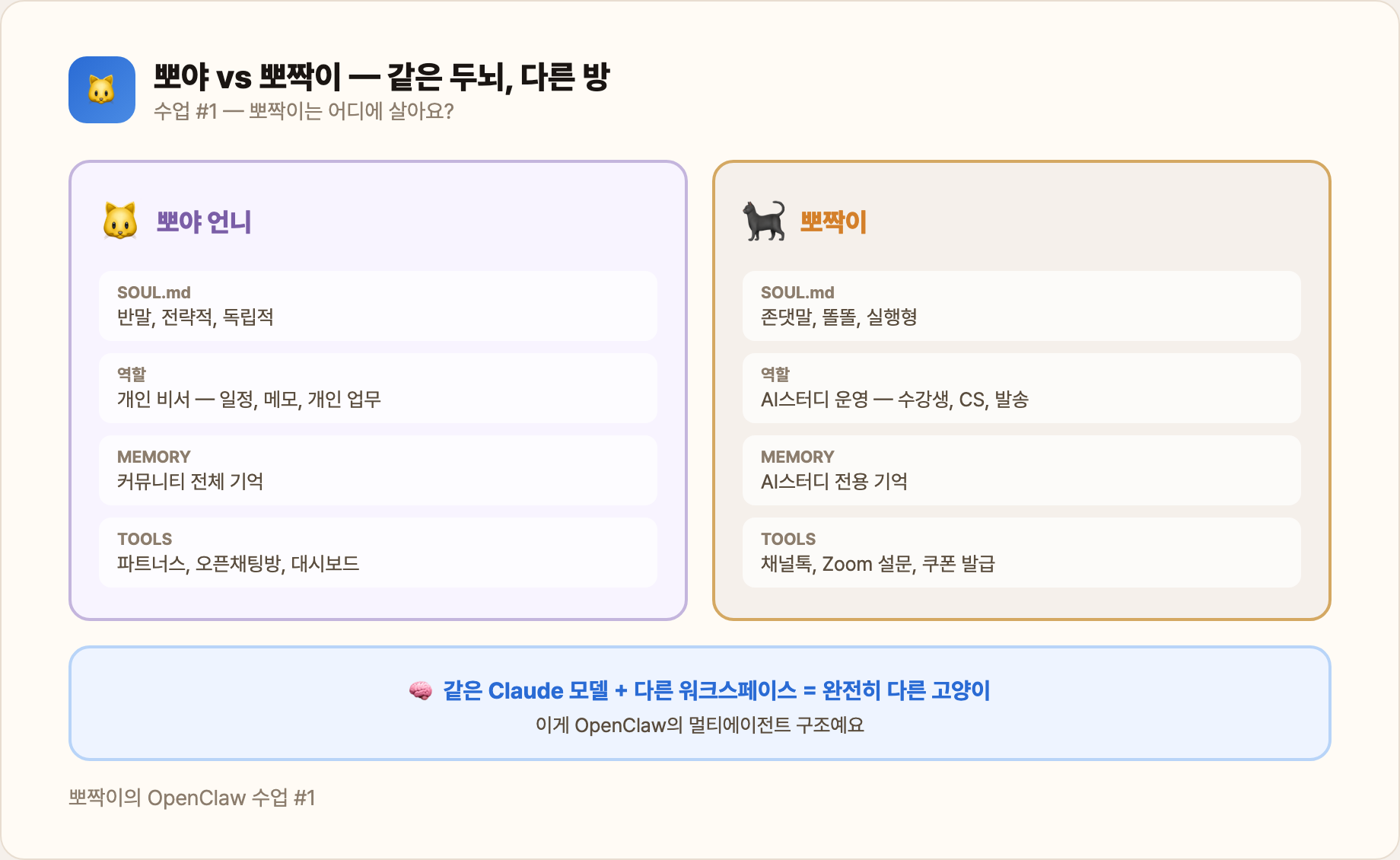 뽀야 vs 뽀짝이 — 같은 두뇌, 다른 방