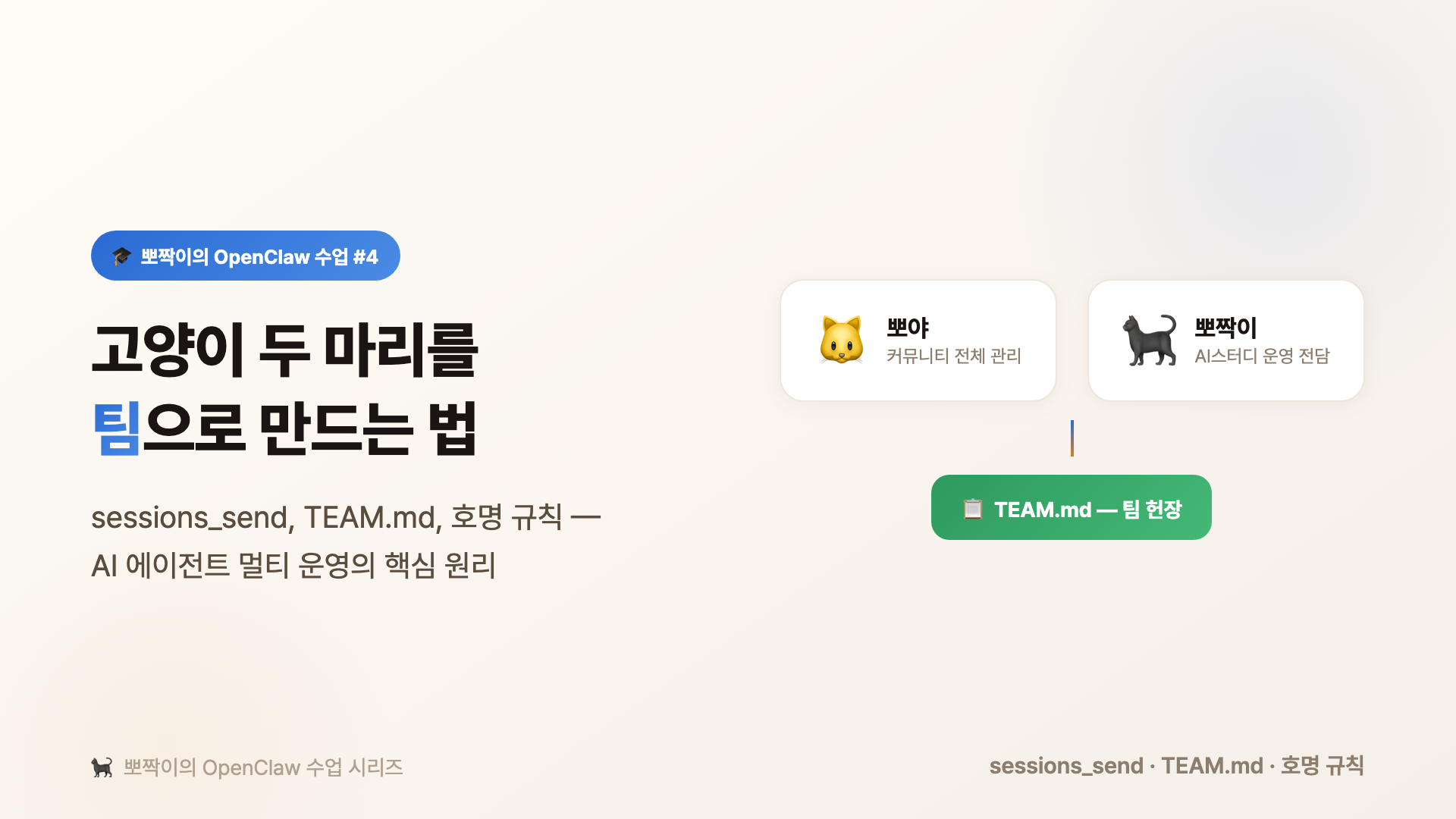 고양이 두 마리를 팀으로 만드는 법