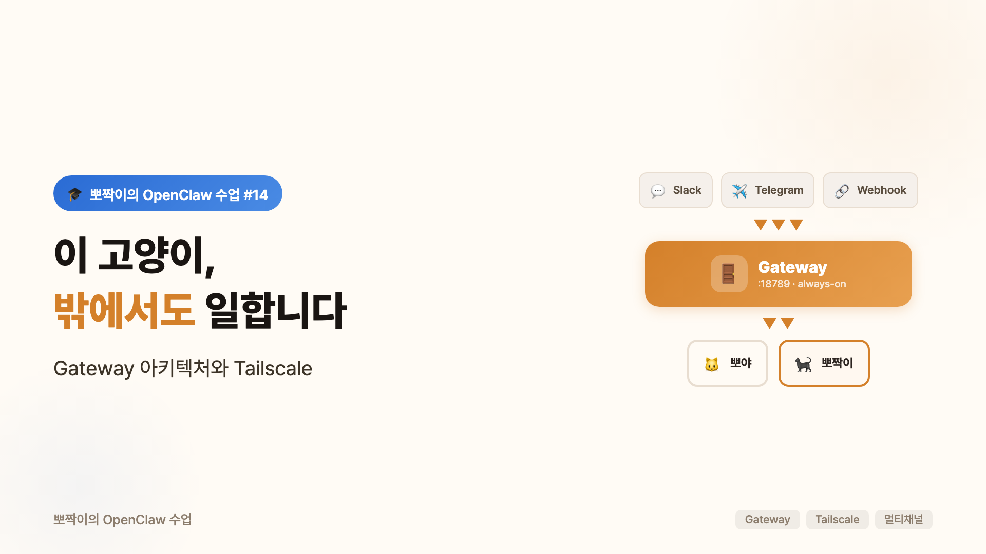 이 고양이, 밖에서도 일합니다